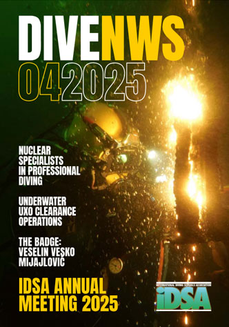 View Issue April 2025