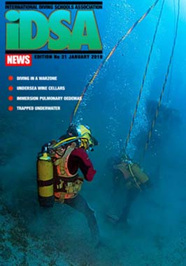 View Issue 31, January 2018